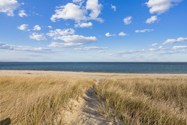 property view of water featuring a beach view