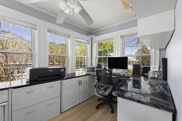 office space featuring ornamental molding, a ceiling fan, and light wood finished floors