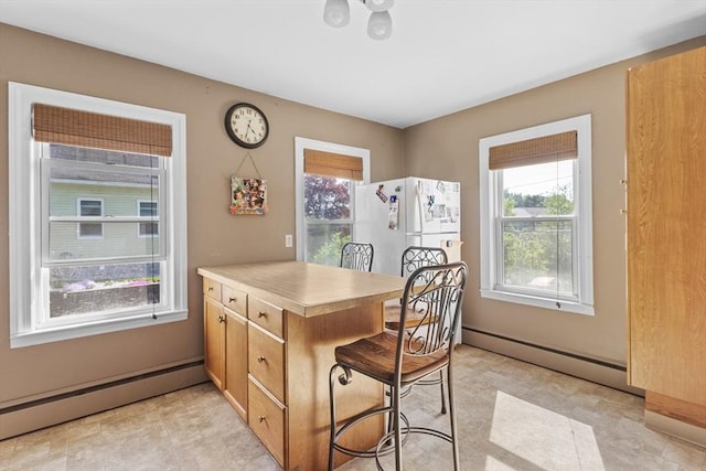 dining space with baseboard heating and plenty of natural light