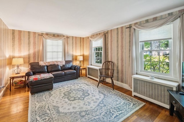 22 Sycamore Rd, Weymouth, MA 02190 - living room featuring radiator heating unit, wallpapered walls, wood finished floors, baseboards, and ornamental molding