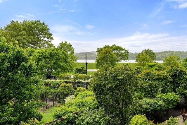 2400 Beacon St Unit 203, Boston, MA 02467 - view of local wilderness with a large body of water