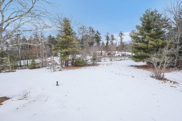 view of snowy yard