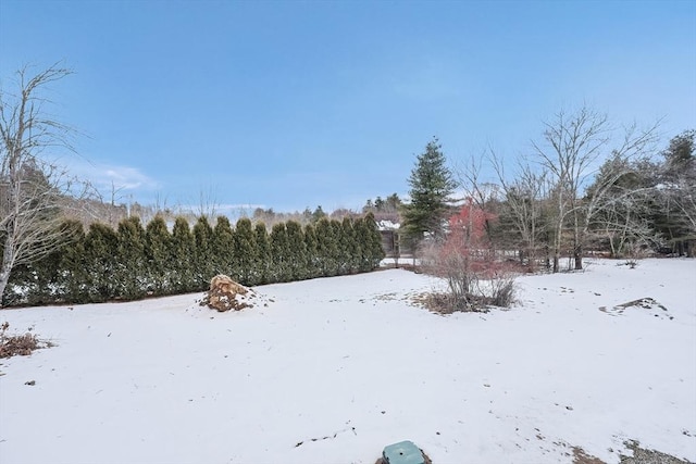 view of snowy yard