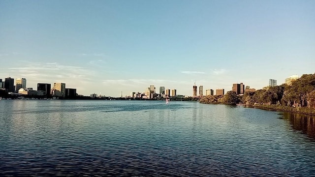 501 Beacon St Unit 1, Boston, MA 02215 - water view with a skyline view