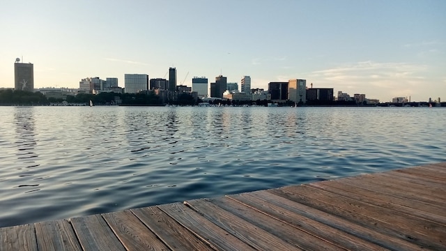 dock area with a water view