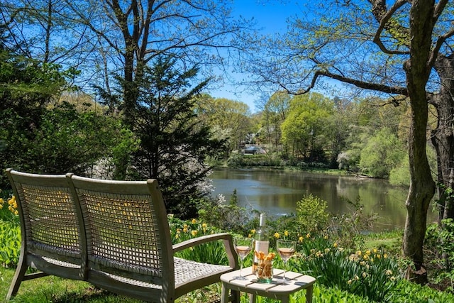 view of property's community with a water view