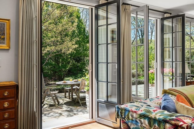 doorway featuring healthy amount of natural light