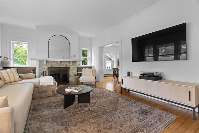 181 Lowell St, Andover, MA 01810 - living room featuring ornamental molding, wood-type flooring, and a stone fireplace