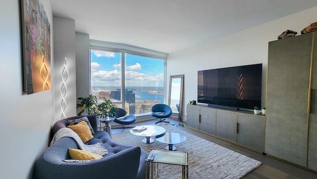 living room featuring a wall of windows and hardwood / wood-style floors