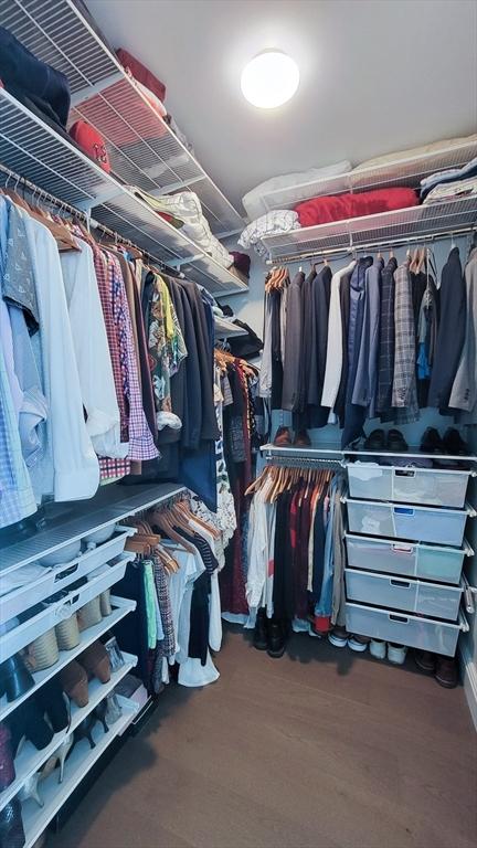 spacious closet featuring dark wood-type flooring