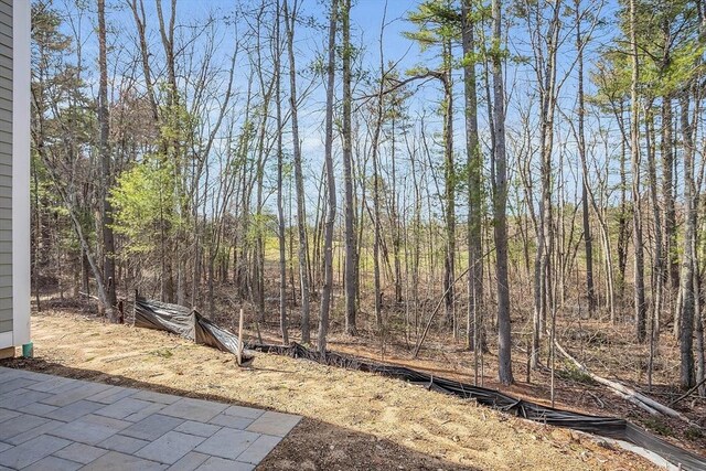 15 Kays Walk Unit 15, Carlisle, MA 01741