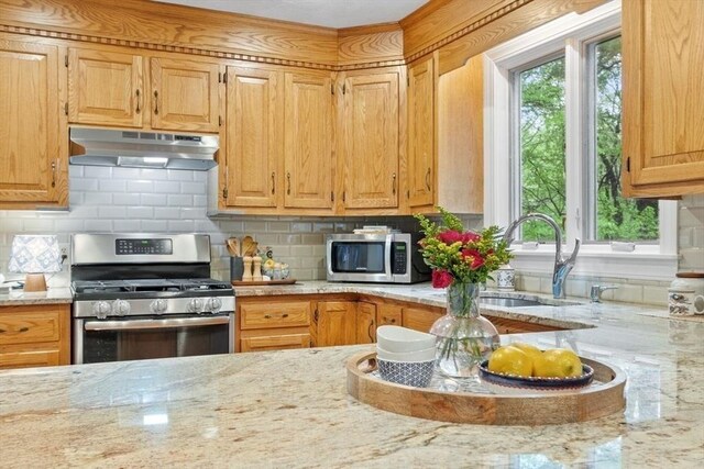 kitchen featuring under cabinet range hood, stainless steel appliances, plenty of natural light, and a sink