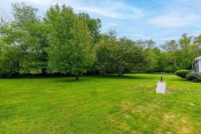 286 Narrow Ave, Westport, MA 02790 - view of grassy yard
