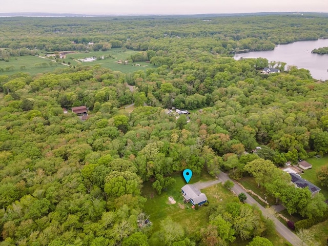 286 Narrow Ave, Westport, MA 02790 - bird's eye view of a forest and a large body of water