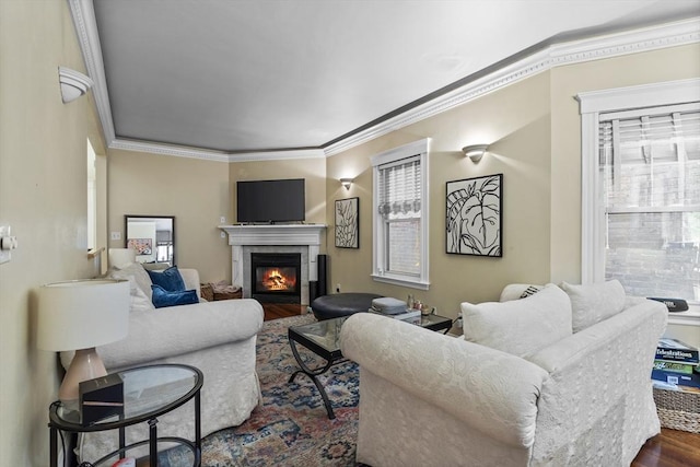 733 E 3rd St, Boston, MA 02127 - living area featuring wood finished floors, healthy amount of natural light, a glass covered fireplace, and crown molding
