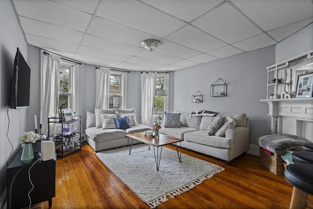 733 E 3rd St, Boston, MA 02127 - living room with a paneled ceiling and hardwood / wood-style flooring