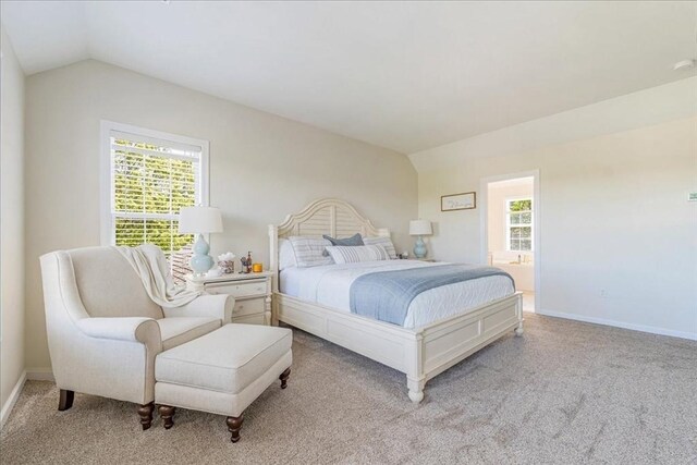 33 Freeman Dr, Plymouth, MA 02360 - bedroom with carpet floors, lofted ceiling, multiple windows, and baseboards