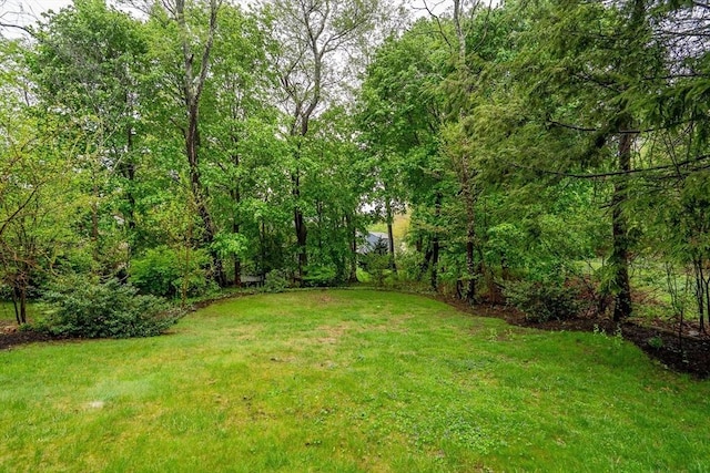 view of grassy yard