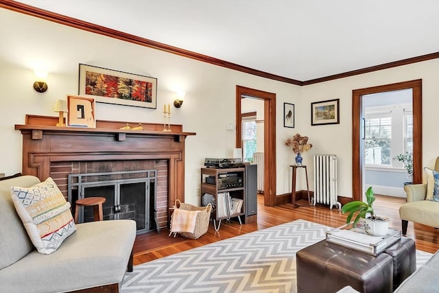 living room featuring radiator, a fireplace, ornamental molding, baseboards, and wood finished floors