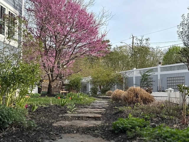 60 Wright St, Arlington, MA 02474 - view of yard with fence