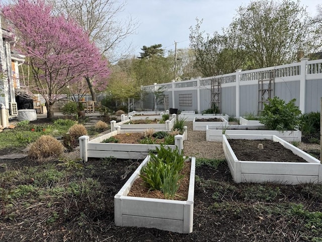 60 Wright St, Arlington, MA 02474 - view of yard with a vegetable garden and fence