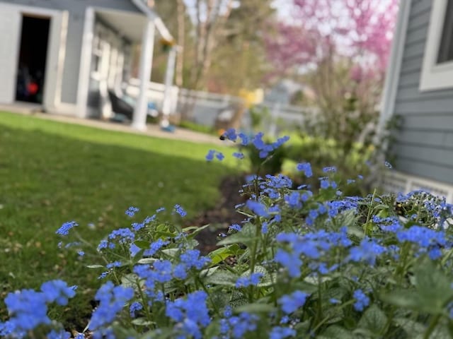 60 Wright St, Arlington, MA 02474 - view of green lawn