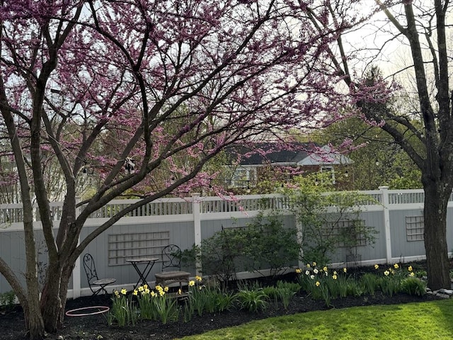 60 Wright St, Arlington, MA 02474 - view of yard with fence