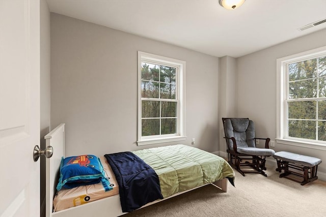 30 Compass Pt Unit 30, North Andover, MA 01845 - view of carpeted bedroom