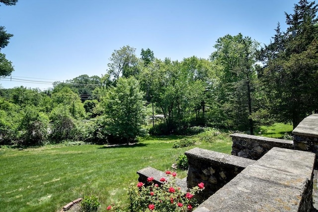 79 Nobscot Rd, Sudbury, MA 01776 - view of grassy yard