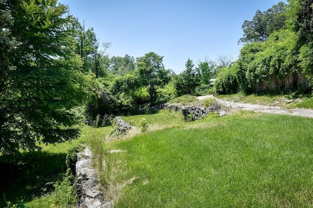 79 Nobscot Rd, Sudbury, MA 01776 - view of yard featuring a view of trees
