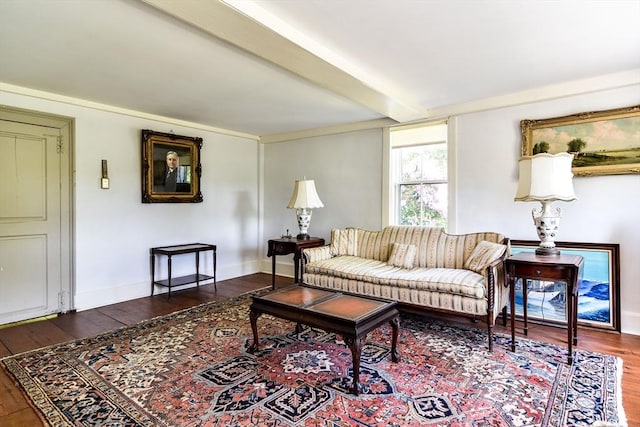 79 Nobscot Rd, Sudbury, MA 01776 - living area featuring dark wood finished floors, beam ceiling, and baseboards
