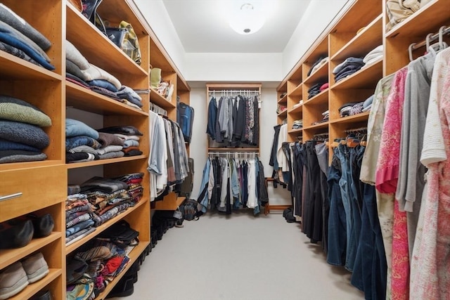 spacious closet featuring carpet