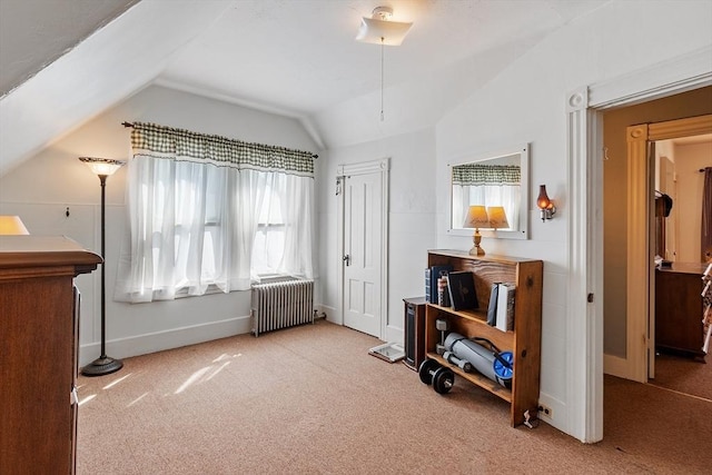 interior space featuring multiple windows, radiator heating unit, lofted ceiling, and a closet