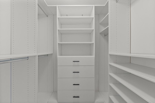 view of walk in closet