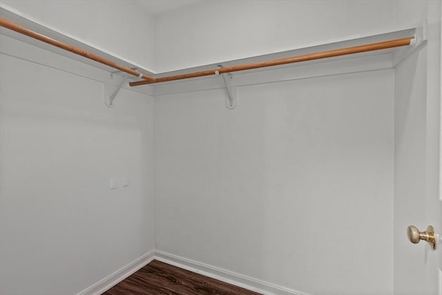 walk in closet with dark wood finished floors