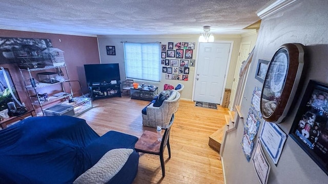 2 Altavesta Cir Unit A, Woburn, MA 01801 - living room with ornamental molding, wood finished floors, and a textured ceiling