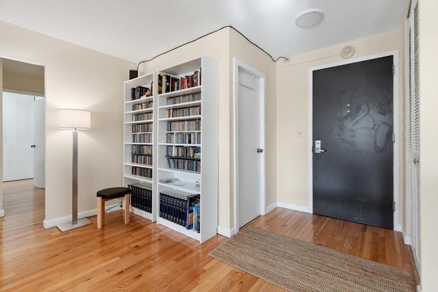 interior space with light wood-type flooring