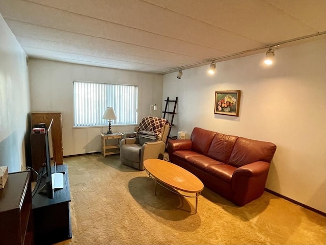 living area featuring track lighting and carpet flooring