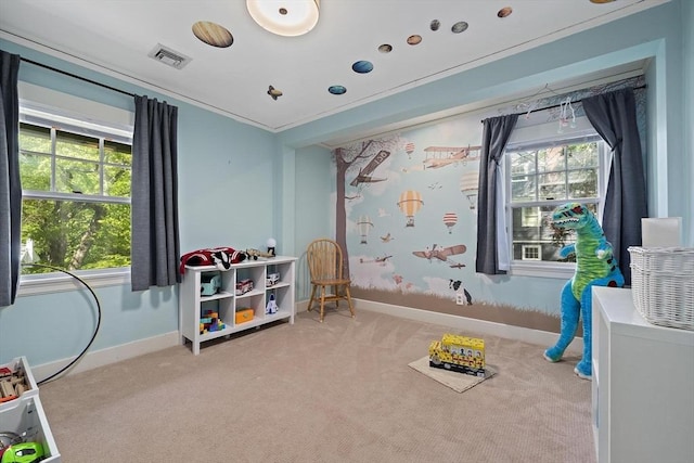 19 Ridge Rd, Newton, MA 02468 - recreation room featuring carpet flooring and baseboards
