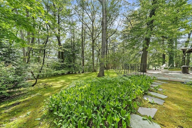 19 Ridge Rd, Newton, MA 02468 - view of grassy yard featuring a patio area