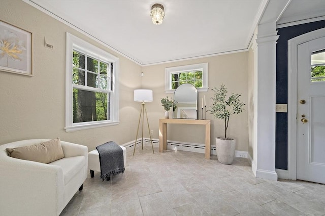 19 Ridge Rd, Newton, MA 02468 - living area featuring plenty of natural light, ornamental molding, baseboards, and ornate columns