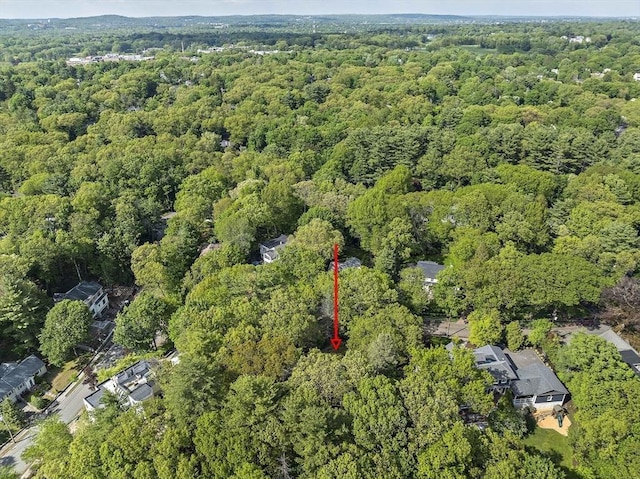 19 Ridge Rd, Newton, MA 02468 - aerial overview of property's location with a heavily wooded area