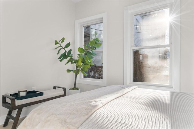 62 Haynes Unit 201, Boston, MA 02128 - view of bedroom