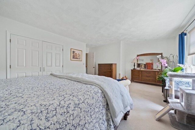 23 Rufus Jones Ln Unit 23, Easton, MA 02356 - bedroom with light carpet and a closet