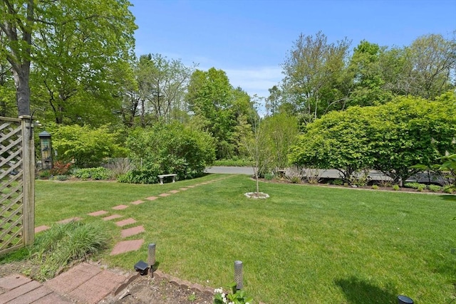 23 Rufus Jones Ln Unit 23, Easton, MA 02356 - view of yard