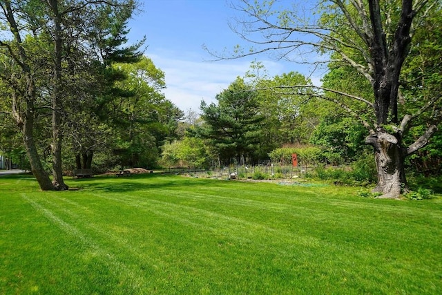 23 Rufus Jones Ln Unit 23, Easton, MA 02356 - view of grassy yard
