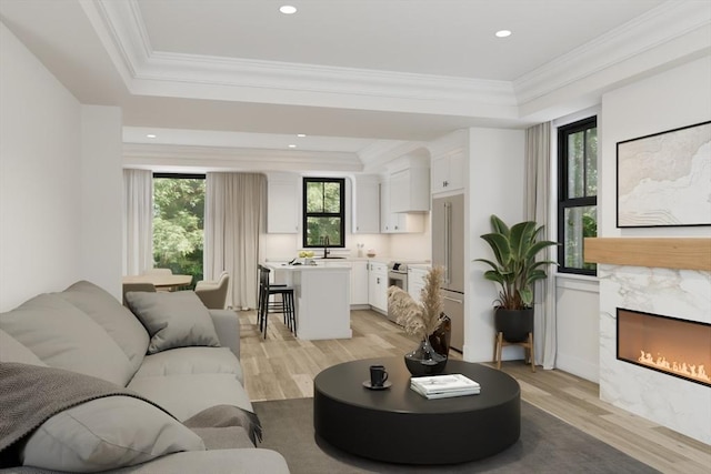 10 Webber Ave Unit 4D, Bedford, MA 01730 - living room featuring light wood-type flooring, a tray ceiling, a premium fireplace, and ornamental molding