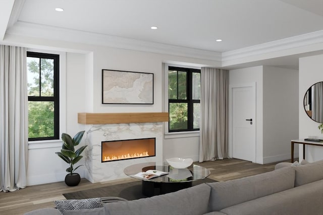 10 Webber Ave Unit 4D, Bedford, MA 01730 - living area featuring plenty of natural light, wood finished floors, a fireplace, crown molding, and recessed lighting