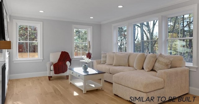 10 Webber Ave Unit 4D, Bedford, MA 01730 - living area with baseboards, crown molding, light wood-type flooring, and recessed lighting