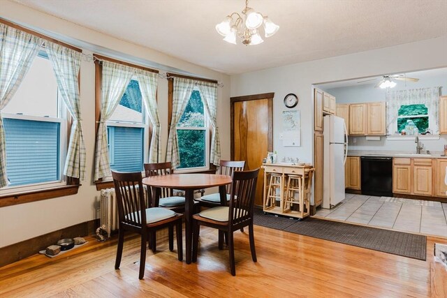 25 Garrison St, Fairhaven, MA 02719 - dining room with light wood-style flooring, a chandelier, a ceiling fan, and radiator
